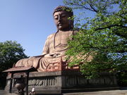 korikoriڊy̑啧̓eʐ^1