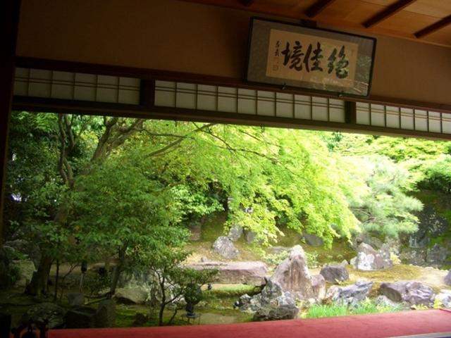 緑も美しい_圓徳院