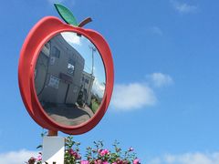 まりんさんのアップルロードのリンゴの花の投稿写真1