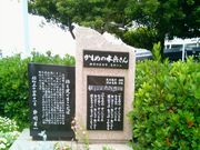 usa����̃J�����̐�������̔�̓��e�ʐ^1