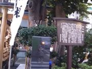 cJ擙X͂̏Zl̉؉|̓eʐ^1