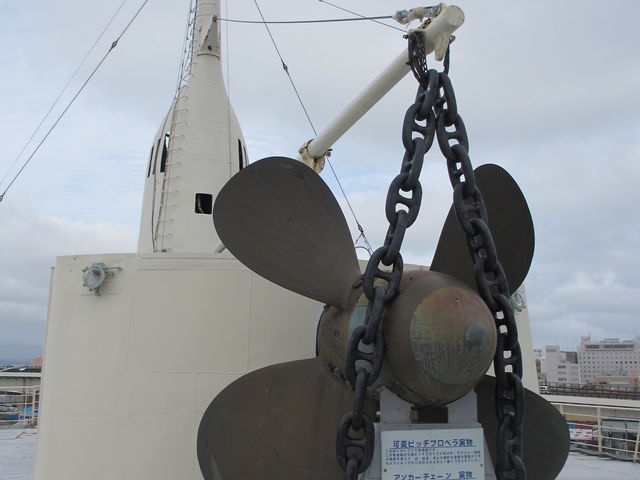 �ڂ̑O�ɗ��Ƒ傫����������_���A���D�L�O�ف@������