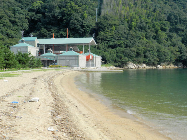 �������q�����̌j�l�̑��D���j��_����̑��D���j��