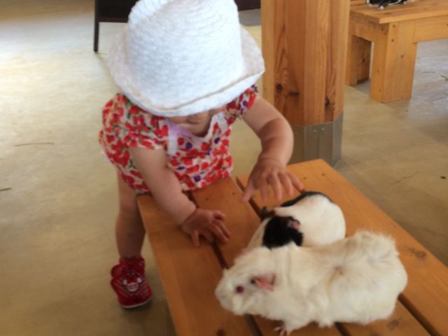 �����ŐG���Ă��܂���_����s���R������