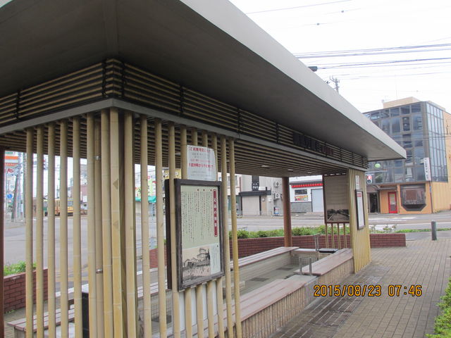 �U���Ƀs�b�^��_���̐쉷��