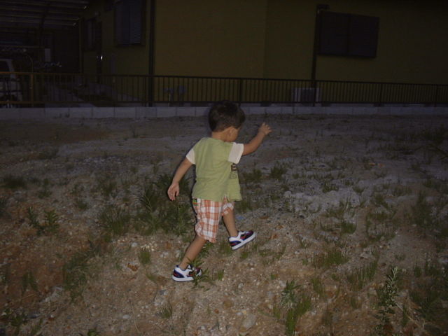 �R�ŗV�ԑ��q_���É��s�Ȋw��