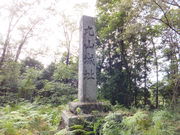 ڂ炳̔mԋ(_)̓eʐ^3