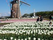 u[N{[̃I_ԃ[tf̓eʐ^1