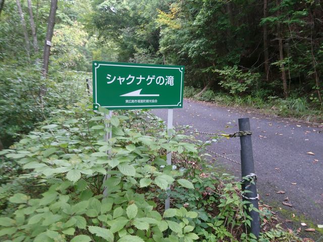 �V���N�i�Q�̑�_�N���{����