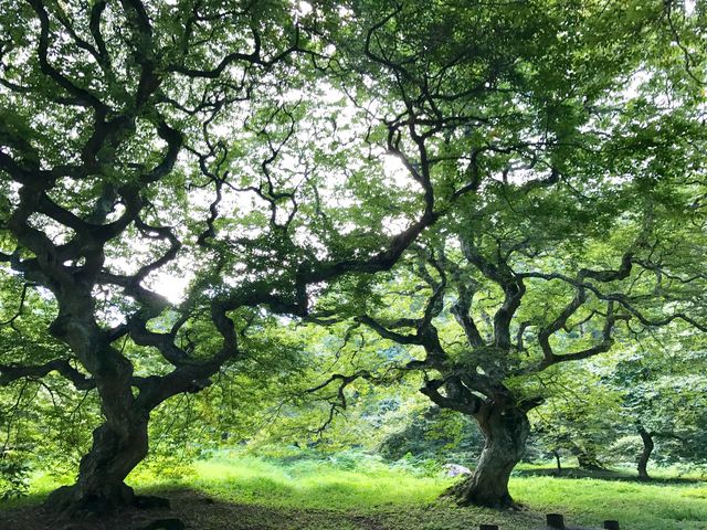 udon̑咩̃eOVfQ̓eʐ^1