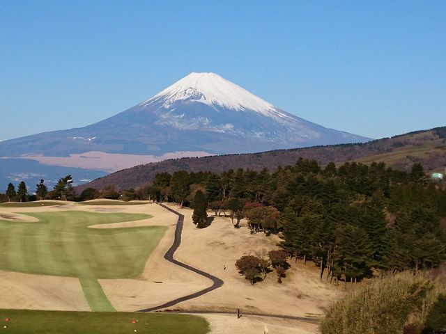 soǚ΃Jg[Nu̓eʐ^1