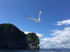 J̏M̓AN[Yւ̓eʐ^1