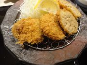 hocsaîۂ킫XX̓eʐ^1