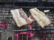 hocsaîԂLˁ@ق̗̎̓eʐ^1