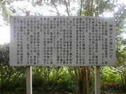 񂳂̓Rǂ񑺂̓eʐ^3