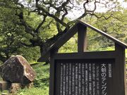 udon̑咩̃eOVfQ̓eʐ^1