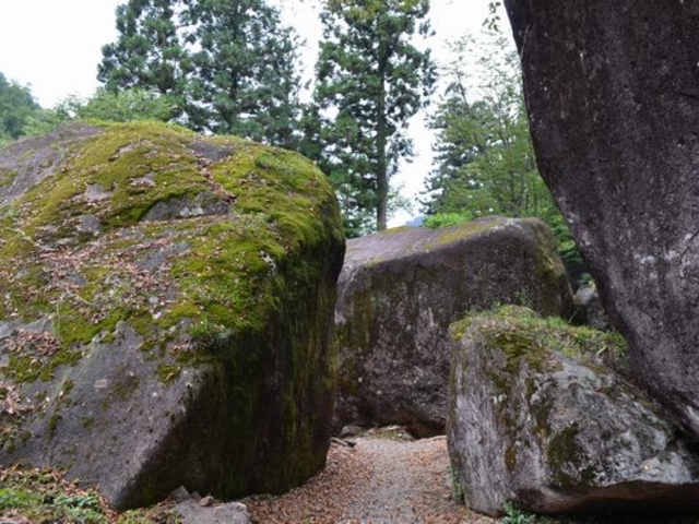 I̓ṼV[_RΌQi≮Ձj