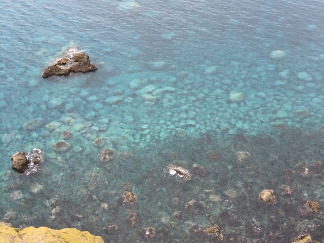 �܂��Ă��Ă��[���ɐ��I_�_�Ж�