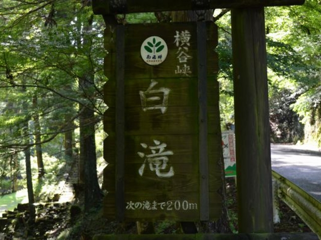 ���ԏ���P�O�O��_���J��