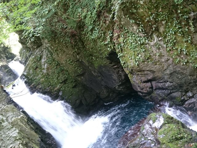 �Z���X�Ȃ��Ľ�Ͼ݁B�ꉞ�O��_�O�c��