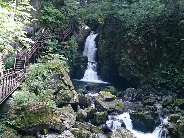 �s�v�c�B�B�B�싛���j���łȂ��I���̓���C�����|���Ȃ��I_�O�c��