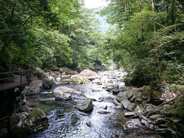 ���������Ƃ���Ȋ���_�O�c��