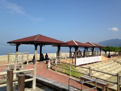 ̏l򑫓@قƂӂƂPOTւ̓eʐ^1