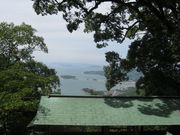 �܂�����񂳂�̐��̑�̓��e�ʐ^2