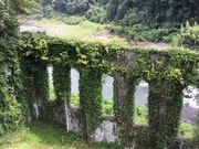 poporon̒̑̓eʐ^4