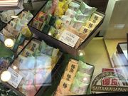 ~Nۂ̂Â{܁EԊXX̓eʐ^1