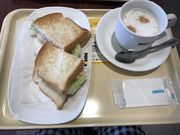 ~Nۂ̃hg[R[q[VbvzX̓eʐ^1