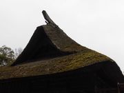 ڂ肳̓VÐ_ЁEzސ_Ђ̓eʐ^1