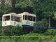 アッキさんの高崎山自然動物園さるっこレールの投稿写真1