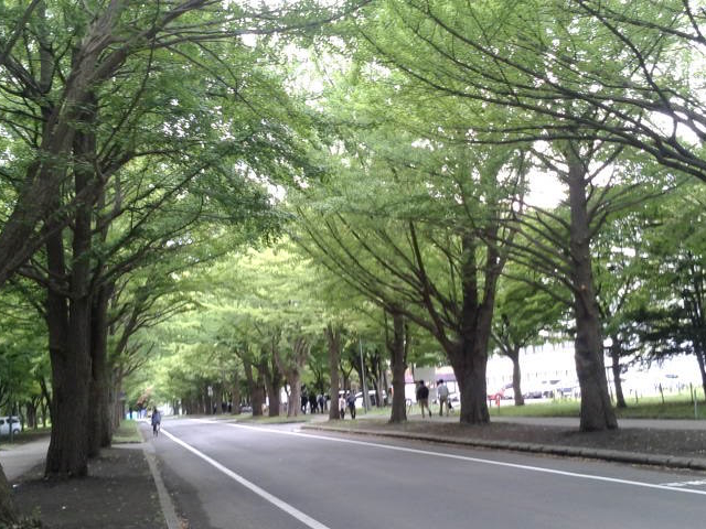 ���H�̃C�`���E����_�k��C�`���E����