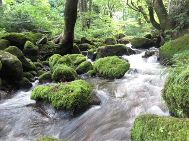 nori����̖ؒJ��k���̓��e�ʐ^1