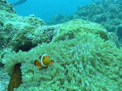 ̃_CrOVbvKUKURUւ̓eʐ^1