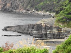 ܂񂳂̐{ztFXւ̓eʐ^1