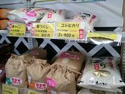 񂿂񂳂̃h[z[v{̓eʐ^1