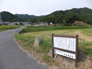 ���ڂ炳��̔p��ɗ������΂̓��e�ʐ^2