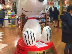 S[hs~bh́uXk[s[^EVbvvlXւ̓eʐ^1