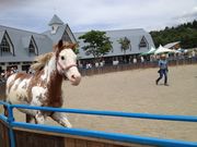 񂽂낤̂Ђ邪̍̓eʐ^3