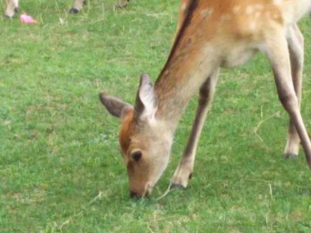 {݂̉Ɏ炵Ă̂ƎvقǎBlꂵĂ̂JĂȂB_mRZ^[