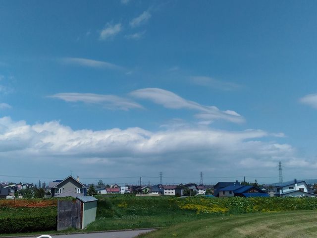 ���w1�N���̉����ł��s���܂�_��̐�^������