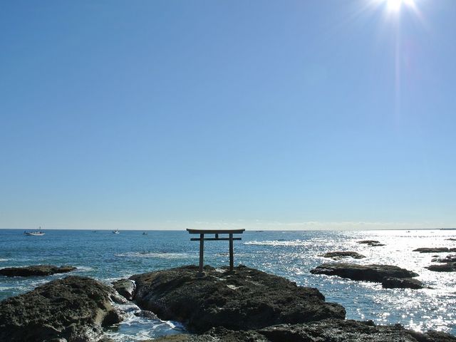 ����_�_�钹��