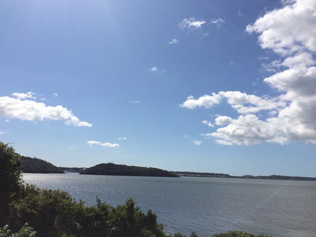 �T�[�r�X�G���A����̒���_�l���΃T�[�r�X�G���A