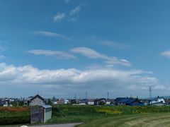 C`񂳂̑̐^ւ̓eʐ^1