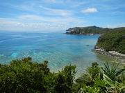 ���񂶂���̓V��W�]��̓��e�ʐ^1