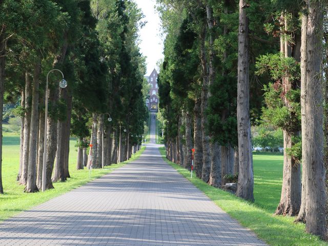 �^�������ȕ��ؓ��̐�ɂ���܂�_�����V�g�[���̐����C���@�i�g���s�X�g�C���@�j