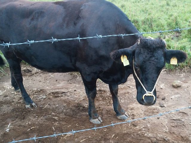 ��_���V����������