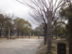 ���p���l������̓V�_���������ւ̓��e�ʐ^1